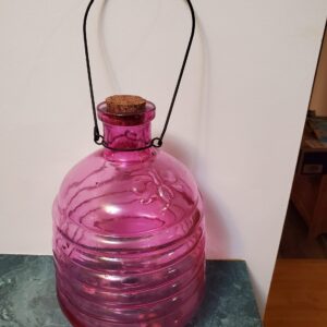 Wasp catcher
